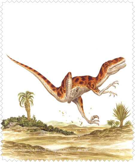 Microfasertuch / Brillenputztuch von Rannenberg & Friends "Dinosaurier aus der Kreidezeit"