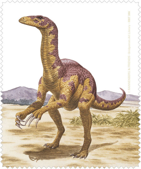 Microfasertuch / Brillenputztuch von Rannenberg & Friends "Nanshiungosaurus"