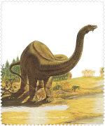 Microfasertuch / Brillenputztuch von Rannenberg &...