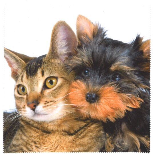 Motiv-Mikrofasertuch mit Hund & Katz