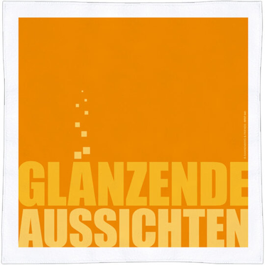 Rannenberg & Friends Mikrofaser - Spültuch 30 x 30 cm "Glänzende Aussicht"