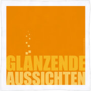 Rannenberg & Friends Mikrofaser - Spültuch 30 x...