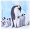 La Kelnet Microfasertuch - POLAR Collection - Pinguin mit Babys