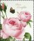 Brillenputztuch / Microfasertuch von Rannenberg & Friends "Rosa centifolia"