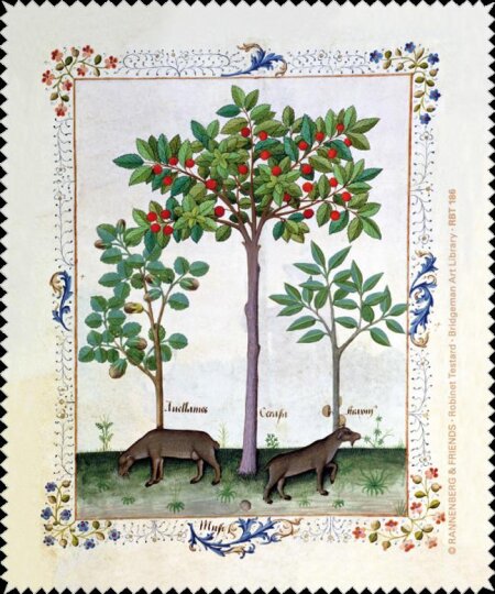 Rannenberg & Friends Brillenputztuch / Microfasertuch "Haselnussbusch und Kirschbaum"