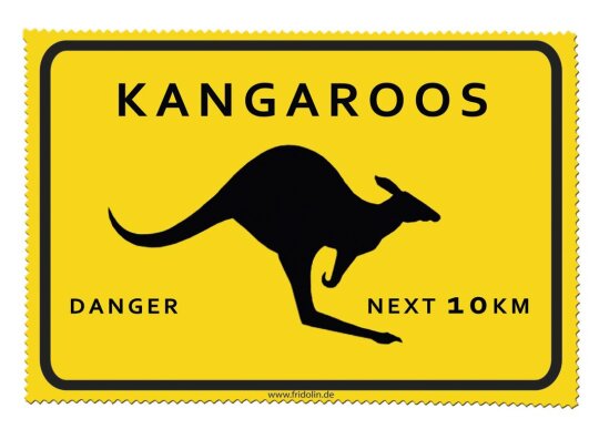 Tolles Mikrofaser - Brillenputztuch von FRIDOLIN - Adventure Time "Kangaroos"