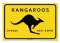 Tolles Mikrofaser - Brillenputztuch von FRIDOLIN - Adventure Time "Kangaroos"