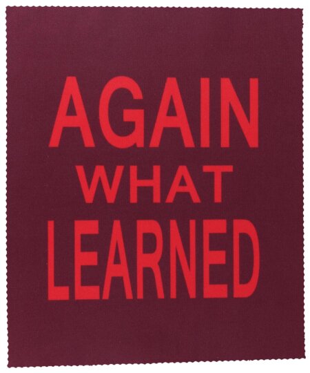 Again what learned - Hochwertiges Mikrofasertuch mit witzigen "Denglisch" Spruch