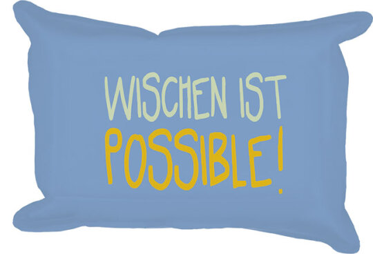 RANNENBERG & FRIENDS - frecher Fensterschwamm fürs Auto "WISCHEN IST POSSIBLE"