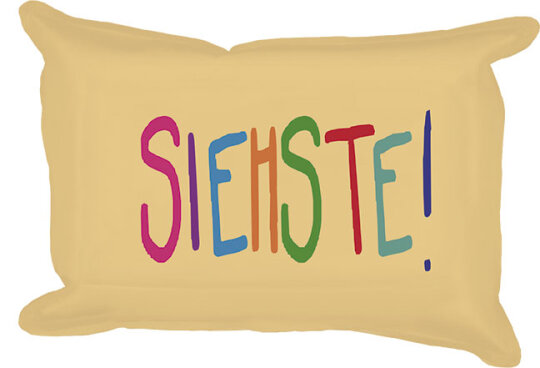 RANNENBERG & FRIENDS - frecher Fensterschwamm fürs Auto "SIEHSTE!"