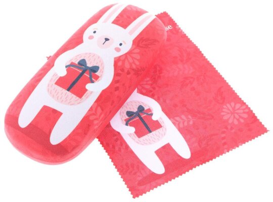 Winter - Hasen Hartschalenetui für Kinder mit Microfasertuch