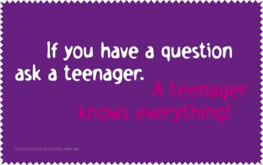 Rannenberg und Friends Netbooktuch "Teenager"