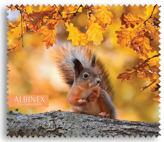 Bezauberndes Microfasertuch mit niedlichem Eichhörnchen Motiv - 17,5 x 15,3 cm