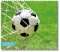 Erstklassiges Microfasertuch im sportlichen Fussball - Design - 17,5 x 15,3 cm