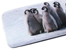 Hartschalen-Etui Cute mit weichem Microfaserbezug und passendem Microfasertuch Pinguine