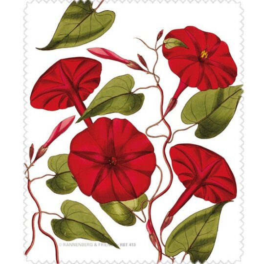 Rannenberg & Friends Brillenputztuch / Microfasertuch - "Jalape Winde"