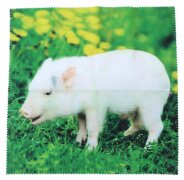 Sanftes Microfasertuch / Brillenputztuch im niedlichen...