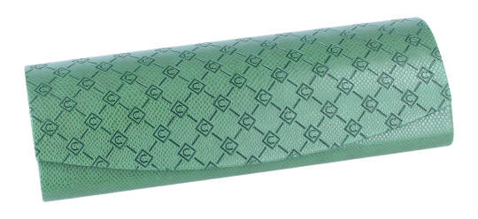 Hochwertiges Hartschalen-Brillenetui in stilvollem Grün