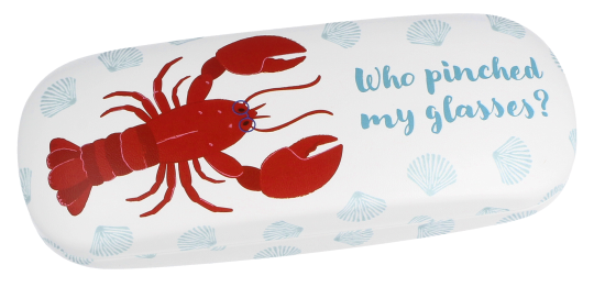 Kindler Brillenetui Lobster Metallhartschale 160x61x39mm Klappverschluss Schutz