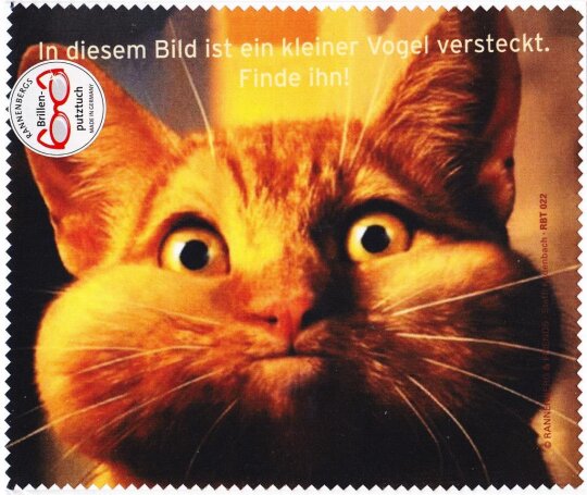 Brillenputztuch von Rannenberg & Friends "Wo ist der Vogel versteckt?"
