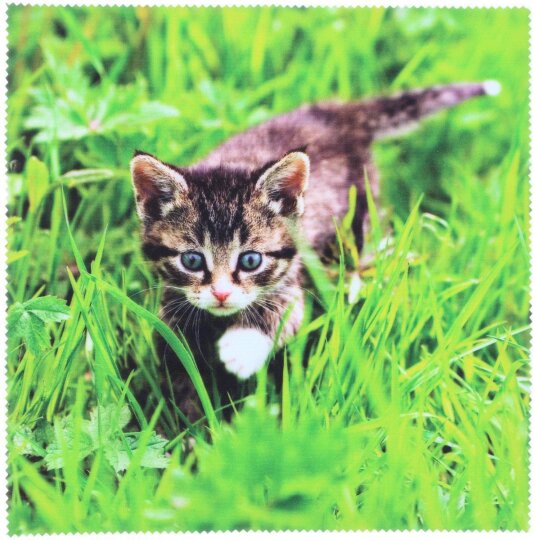 Motiv Microfasertuch "Katze"