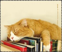 Microfasertuch Schlafende Katze auf Büchern zum...