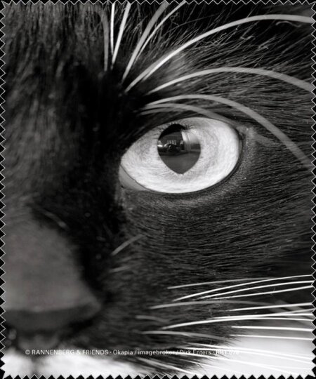 Microfasertuch Katzenauge zum Brille reinigen