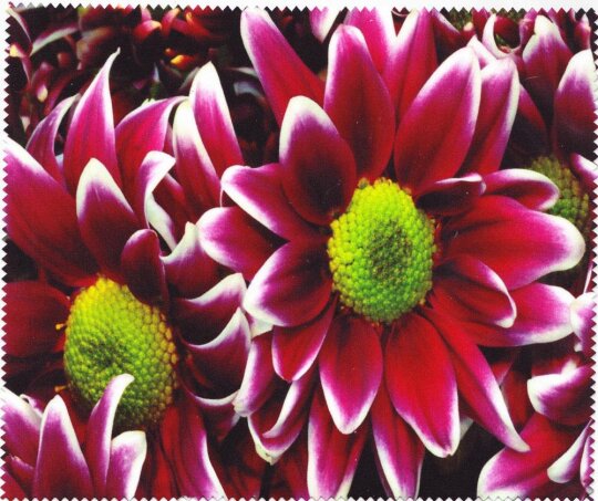 Mikrofasertuch zur Brillenreinigung Motiv Hündchen mit Blumen