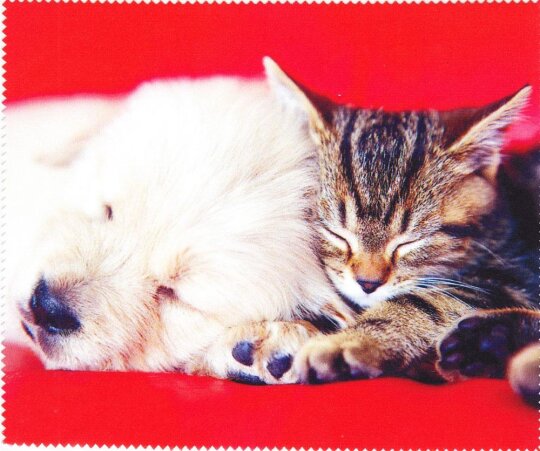 Mikrofasertuch zur Brillenreinigung Motiv Hündchen mit Blumen