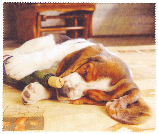 Mikrofasertuch zur Brillenreinigung Motiv Hündchen mit Blumen