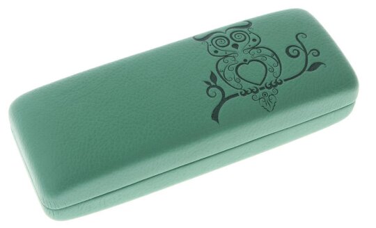 Stylisches Brillenetui für Kinder - Mit niedlichem Eulenmotiv und robustem Hartschalen-Design