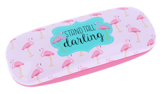 Cooles Brillenetui "Stand Tall Darling" mit Flamingo in Pink - Rosa