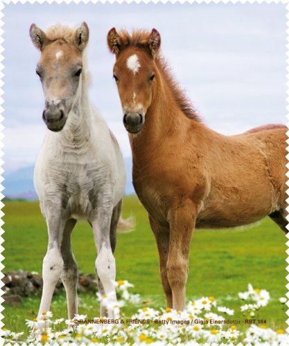 Rannenberg & Friends Microfasertuch / Brillenputztuch "Zwei Fohlen auf Blumenwiese"