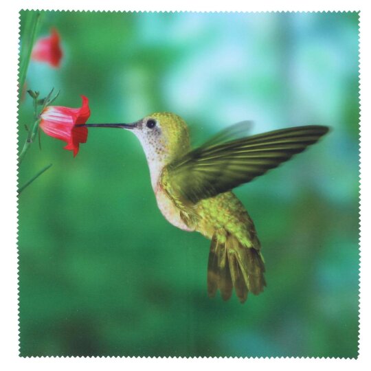 Motiv Microfasertuch - GRÜNER KOLIBRI