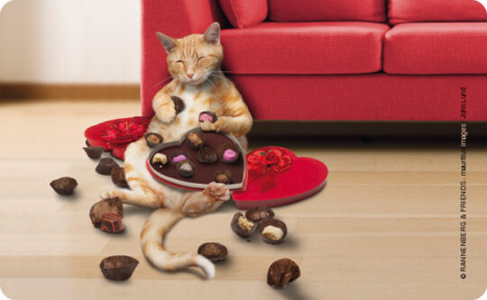 Robustes Schneidebrettchen / Frühstücksbrettchen Rannenberg & Friends "Naschkatze"