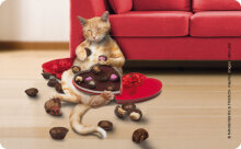 Robustes Schneidebrettchen /...