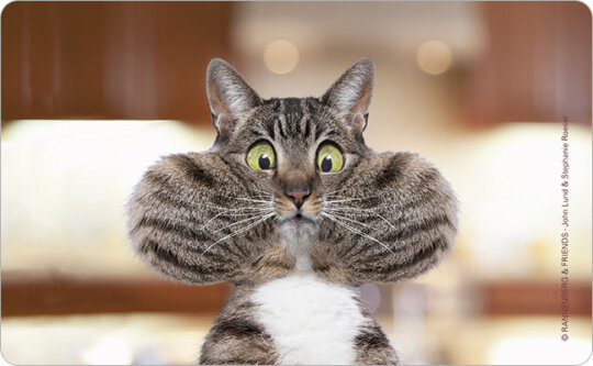 Robustes Schneidebrettchen / Frühstücksbrettchen Rannenberg & Friends "Puhh"