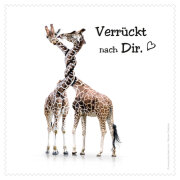 Polyclean Microfasertuch mit Motiv  Crazy Animals...