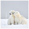 La Kelnet Microfasertuch Animal Babies - Eisbären