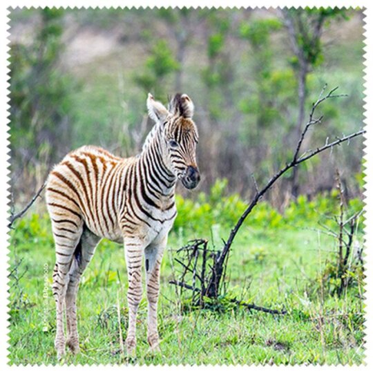 La Kelnet Microfasertuch Animal Babies - Zebra