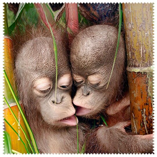 La Kelnet Microfasertuch Animal Babies - Affen