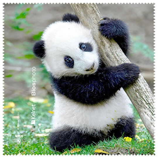 La Kelnet Microfasertuch - Animal Babies - Panda