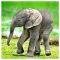 La Kelnet Microfasertuch - Animal Babies - Elefant