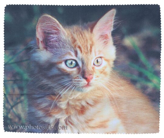 PhotoSilk Mikrofasertch - Katzenbaby