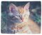 PhotoSilk Mikrofasertch - Katzenbaby