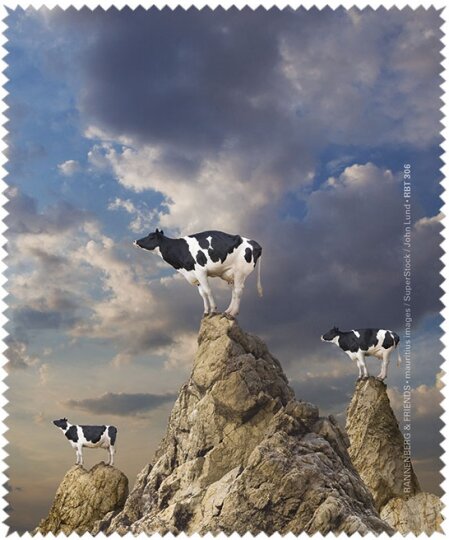 Microfasertucn/Brillenputztuch von Rannenberg & Friends Auf die Spitze getrieben