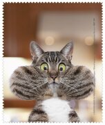 Microfasertuch / Brillenputztuch von Rannenberg &...