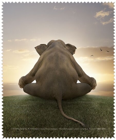 Microfasertuch / Brillenputztuch von Rannenberg & Friends "Meditation"