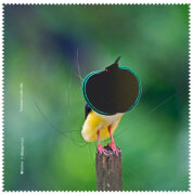 La Kelnet Microfasertuch - Animal II - Paradiesvogel