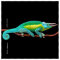 La Kelenet Microfasertuch - Animal II - Dreihornchameleon